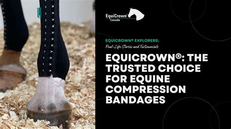 equicrown|The EquiCrown brand .